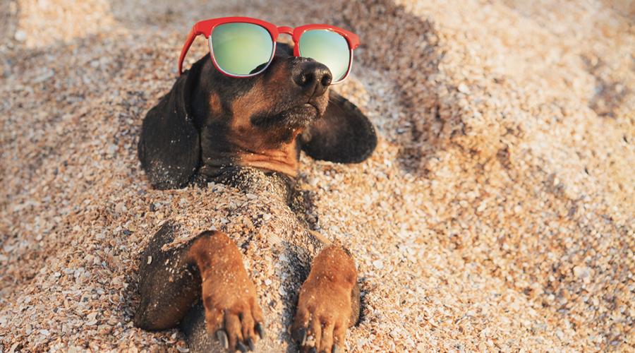 比安耐晒更好的防晒霜,不用涂防晒霜就能有效防晒的方法