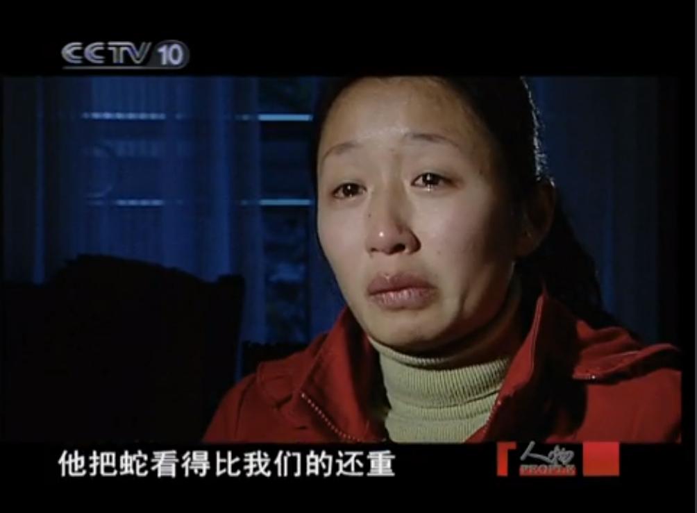 1996年莽山烙铁头蛇,莽山烙铁头被盗事件