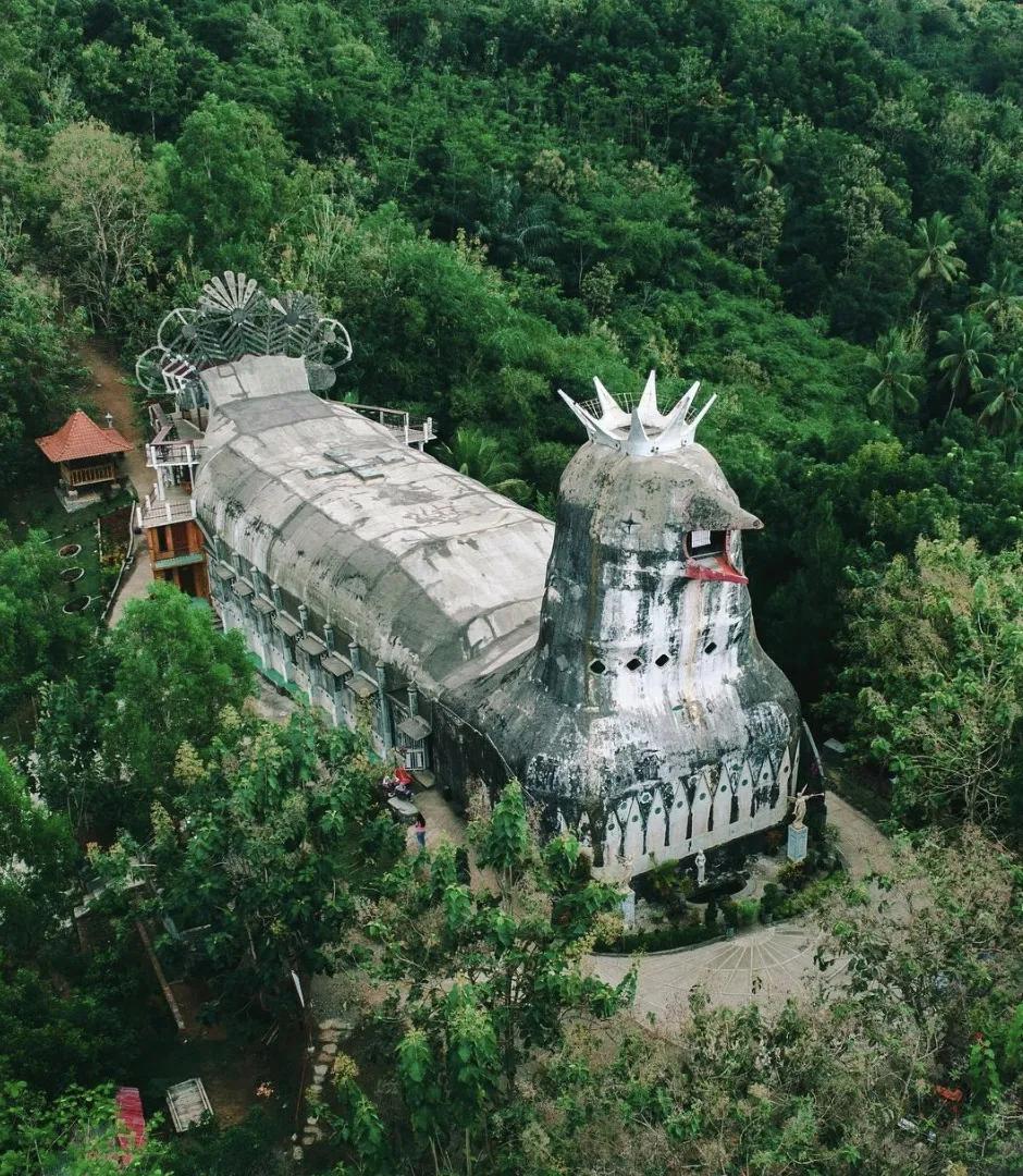 看了就想养的宠物,看了就想抱的宠物