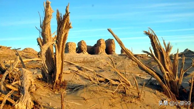 民丰尼雅遗址,新疆民丰尼雅文物