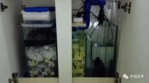 我向媳妇保证，最后一个缸