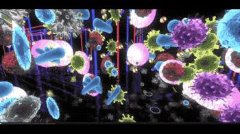 抠肚脐眼里的泥全过程,肚脐眼里的泥又多又硬能不能抠