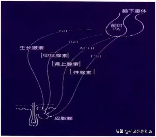 疮疡病的克星,清创宝典