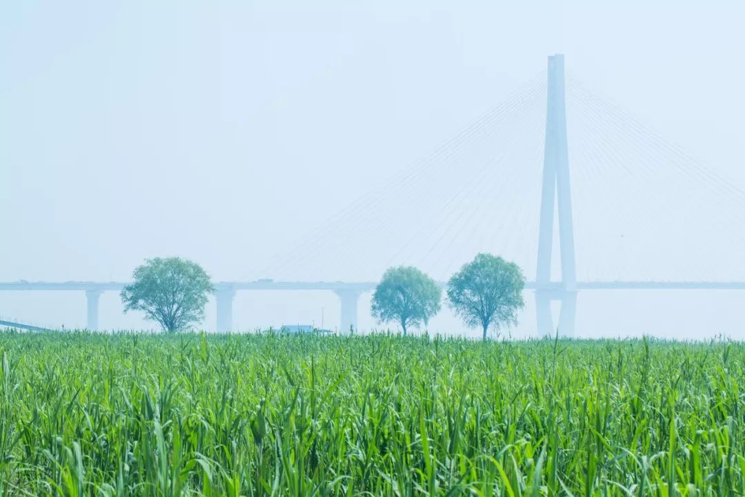 在武汉生活的100条“*规则潜**”，正宗的武汉人也未必知道