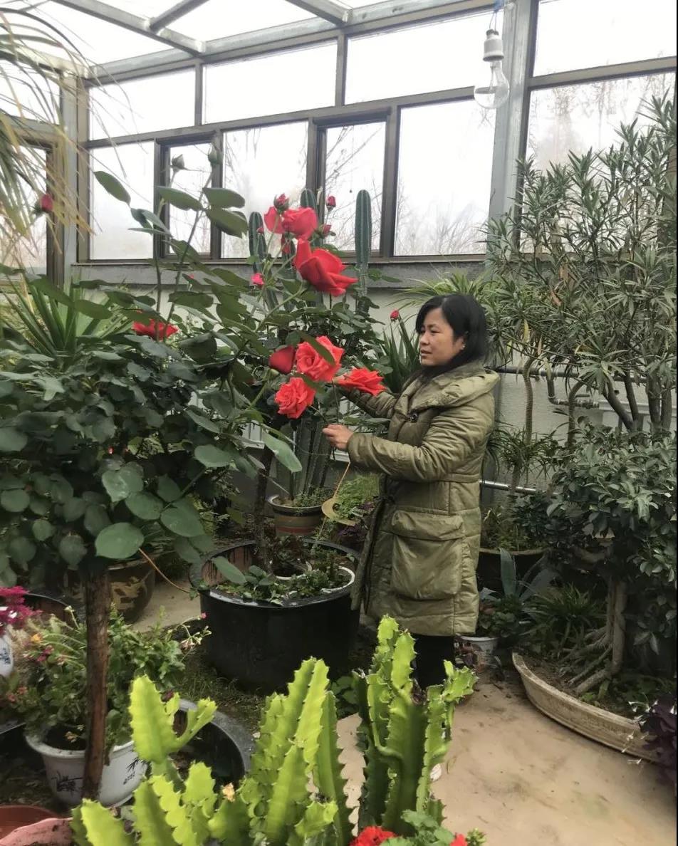 北京养老院的老人现状,养老院工作人员做老人的守护者