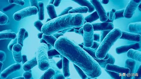 口腔综合治疗台是由什么构成的,口腔综合治疗台管路消毒