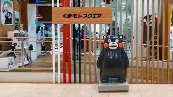 鹿儿岛与熊本,熊本县一日游超全攻略