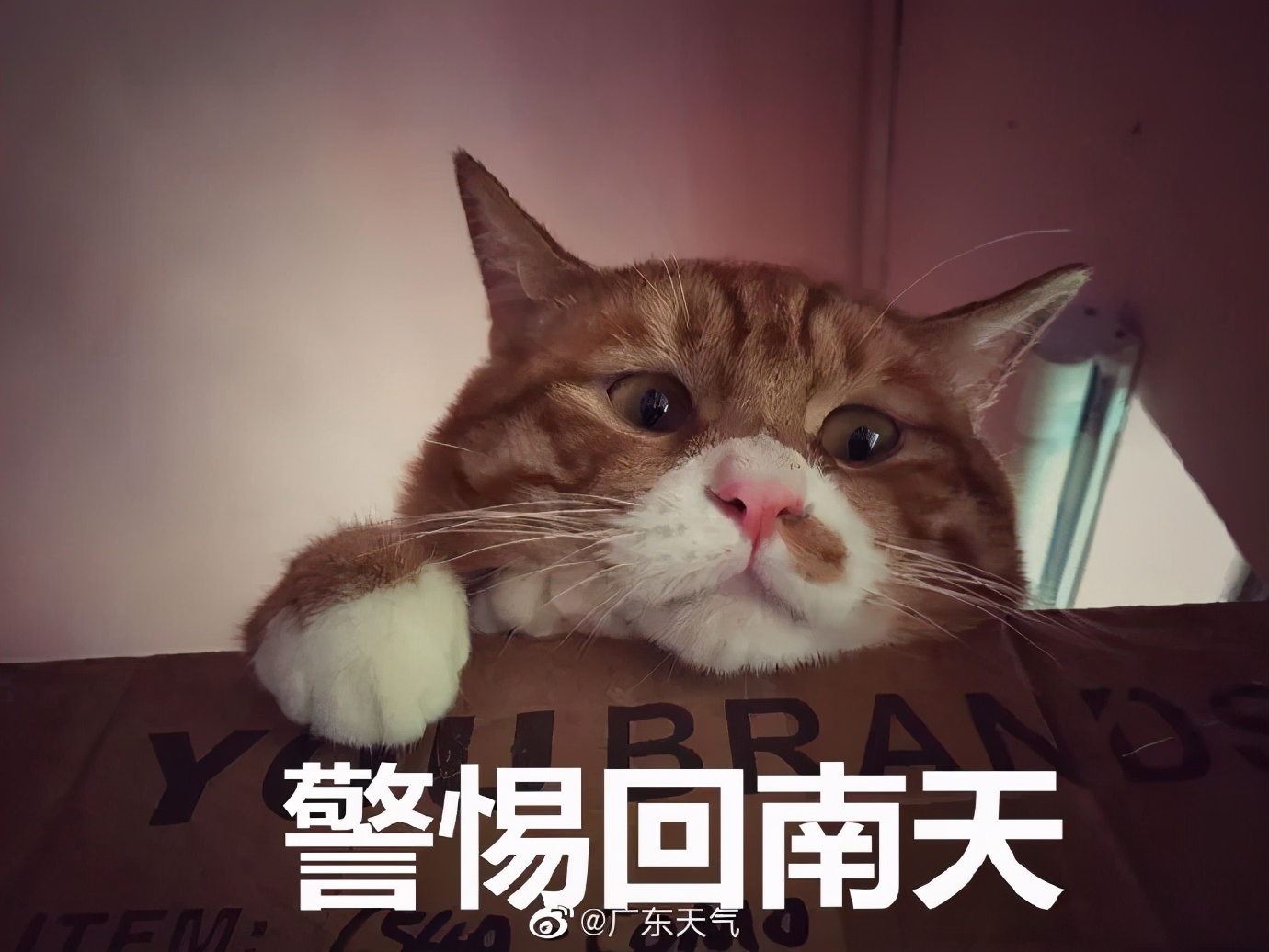 恩平未来一个月的天气,恩平天气走向怎样了今天