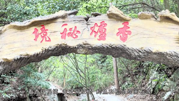 红色“吕”行，畅游溪口！