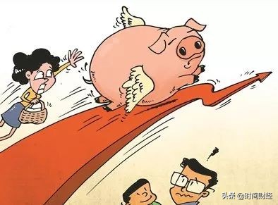 飞天猪未来价格,飞天猪价格今日行情