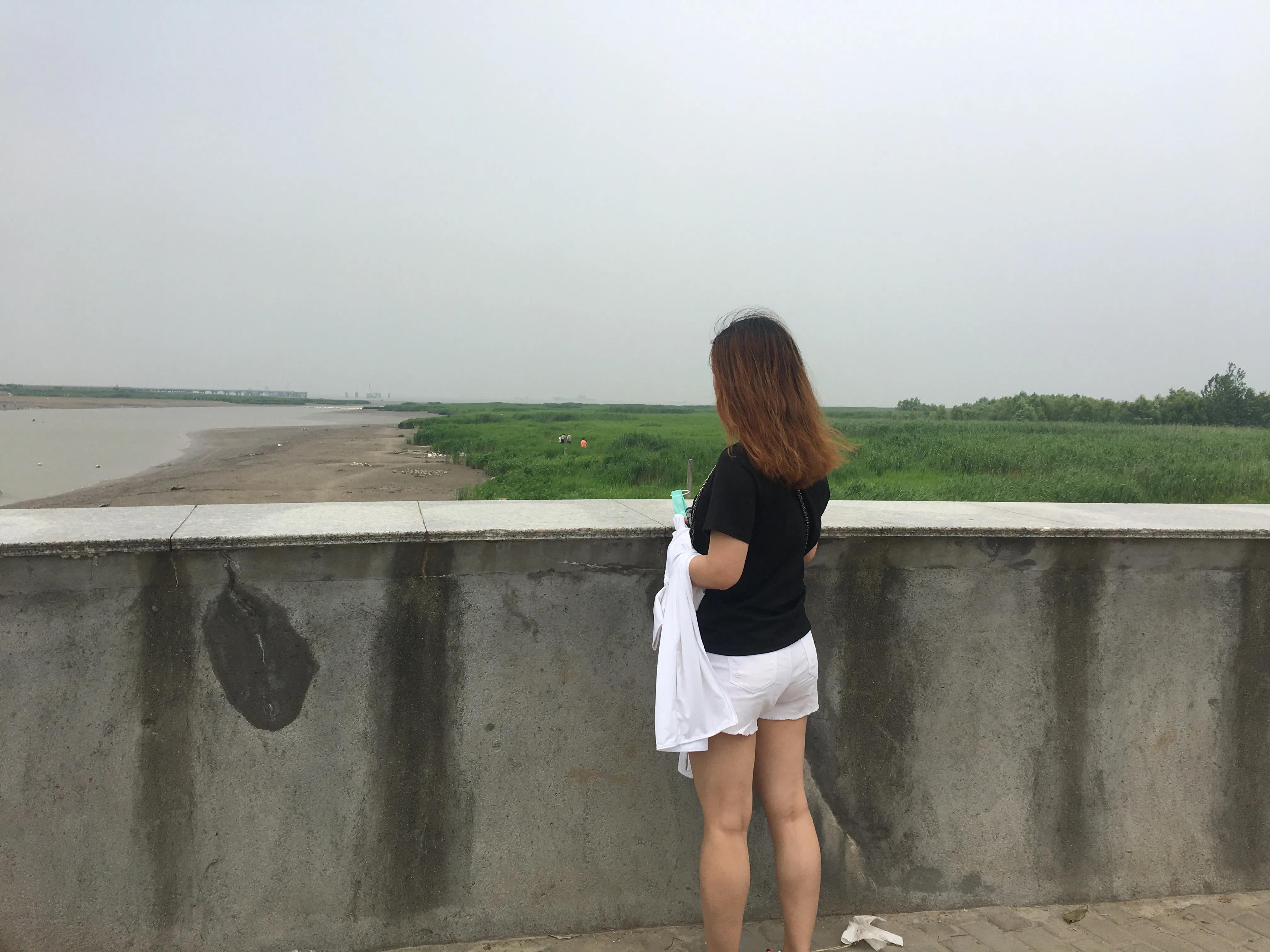 上海哪个地方能看到真正的大海,上海最近景色最好的大海