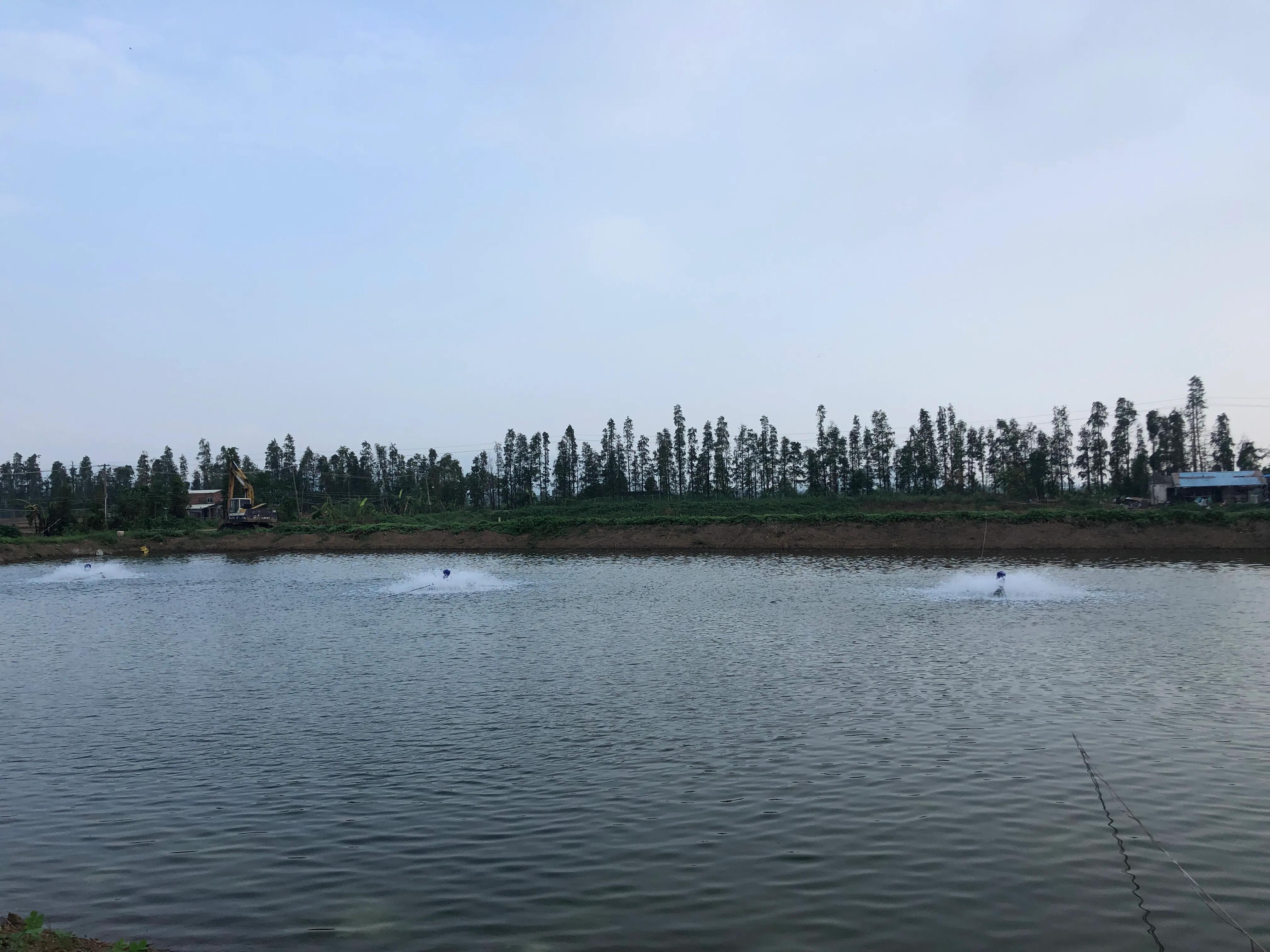 一鸣养虾基地地址,一鸣养虾