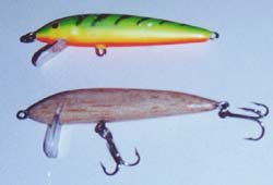 天才小钓手海钓,天才小钓手日本动画