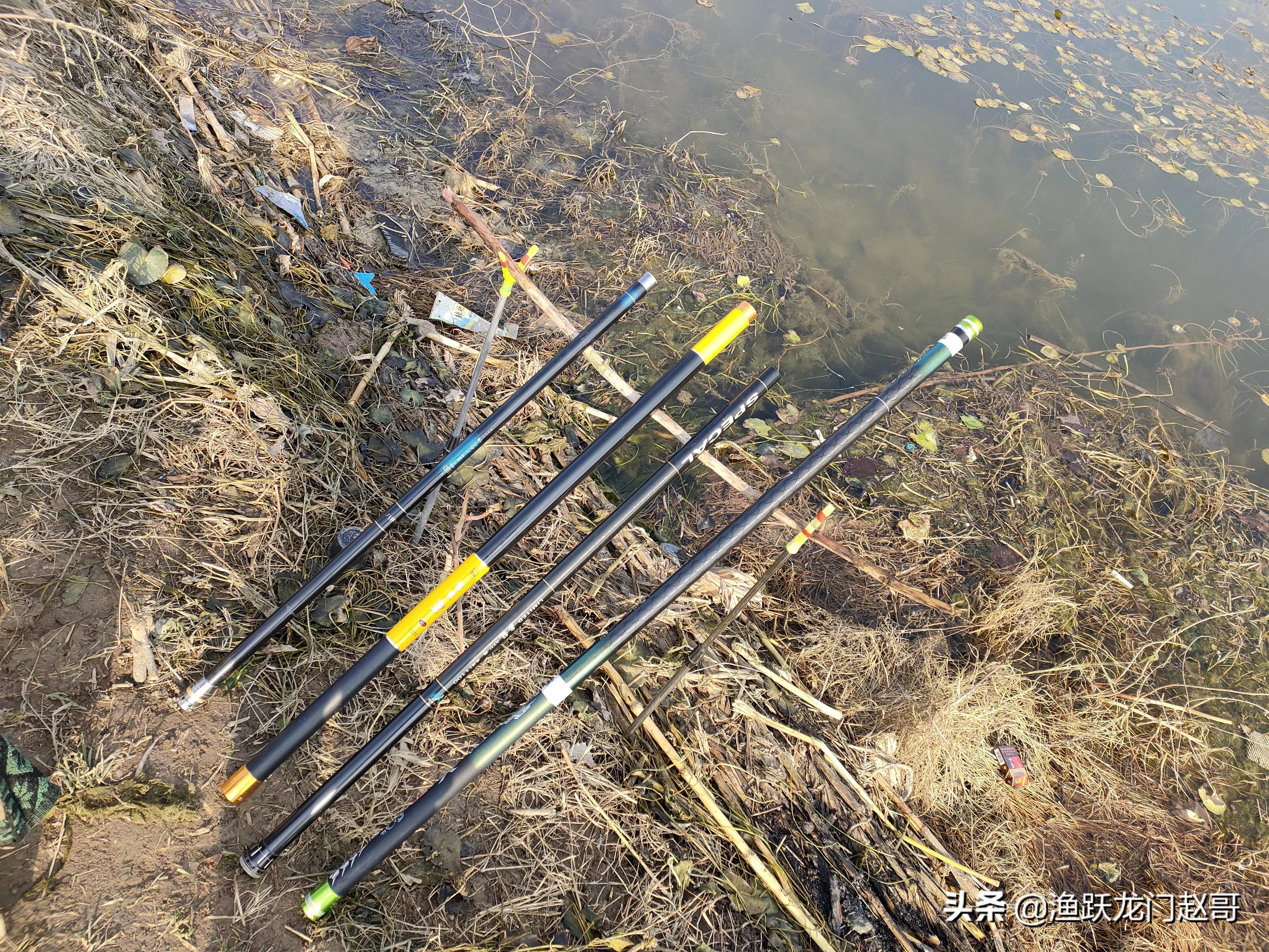 传统钓长竿选择的困惑，赵哥一次性说清楚，看你的鱼竿选对了了吗