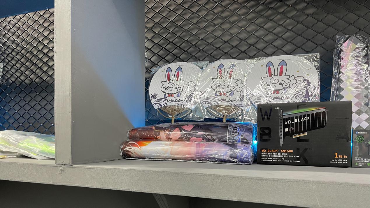 chinajoy历经坎坷举办，WD_BLACK刷满存在