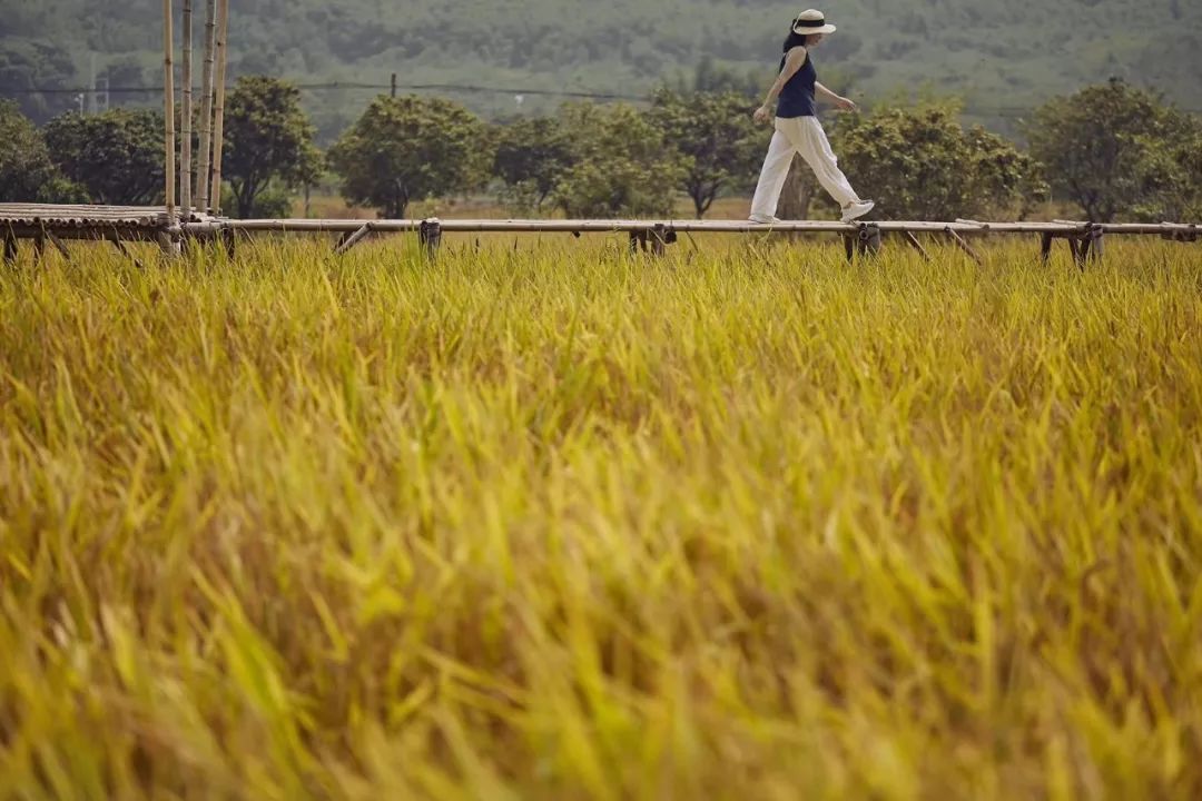 七个闺蜜造房养老,7个闺蜜一起改造农村小院