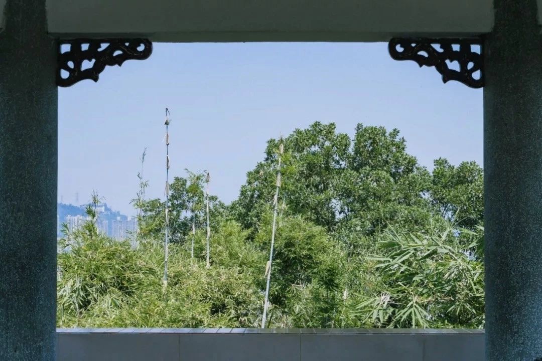 深圳免费一日游好去处推荐,深圳一日游好去处推荐老人