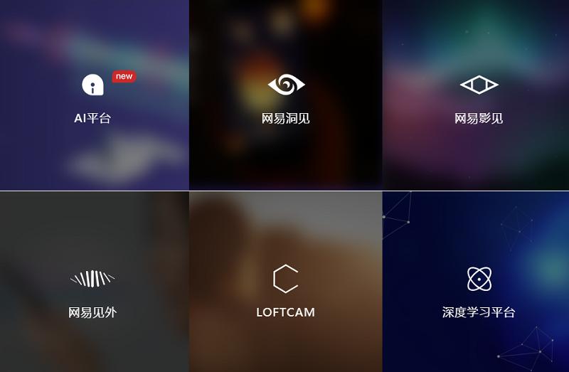 网易的丁磊养猪投入多少钱,丁磊养猪丁磊电商梦