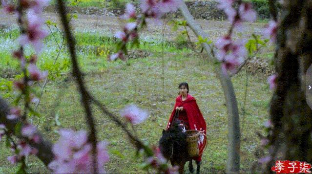 掬水月在手弄花香满衣兴来无远近,掬水月在手弄花香满衣书法作品