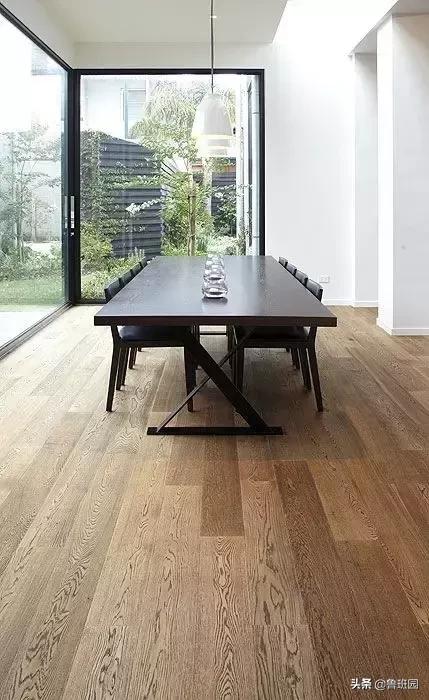 橡木种类大全及图片,史上最专业橡木介绍快来收藏吧