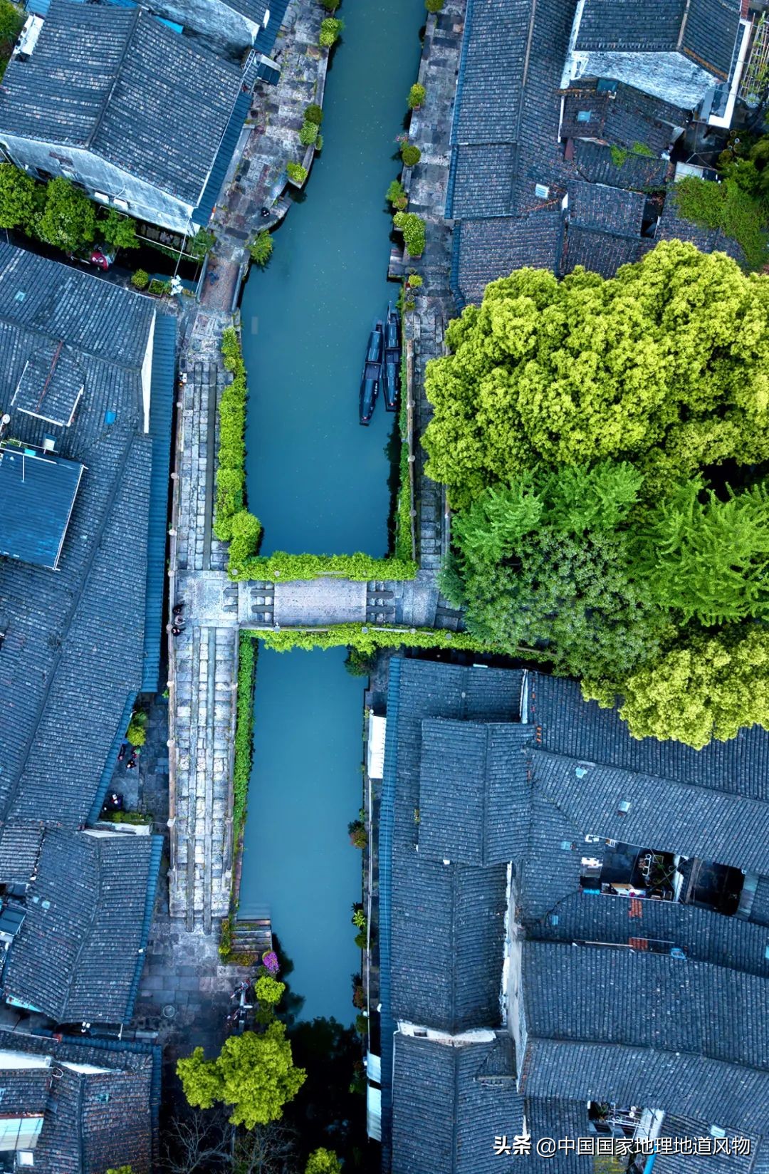 在酒缸里长大的人,泡在酒缸里的人