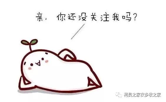 如果没有“补贴”该怎么办呢?做“加、减法”?等农业信息汇总