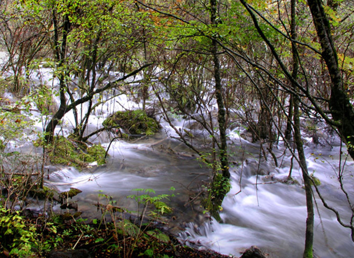 广西长寿村天然氧吧,长寿村氧吧