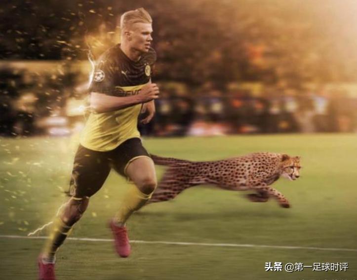 哈兰德巅峰时期集锦,哈兰德新生代