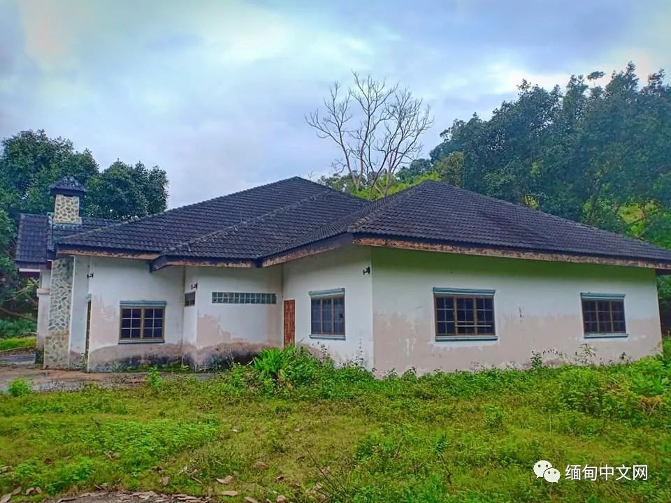 坤沙是怎么当上金三角老大的,金三角大毒枭坤沙传奇的一生