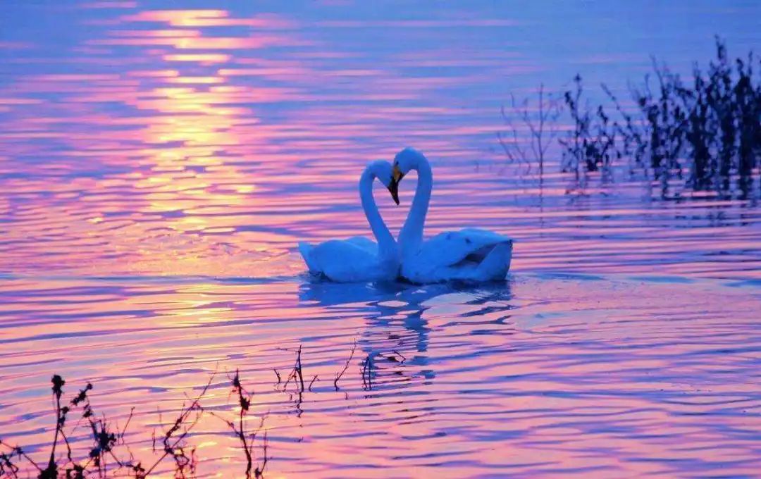 11-12月十大必去旅行地,12月高性价比的旅游地