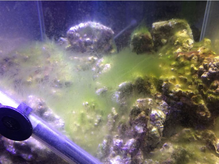 刚入光遇的萌新要知道什么,新入坑的萌新要随时保持警惕