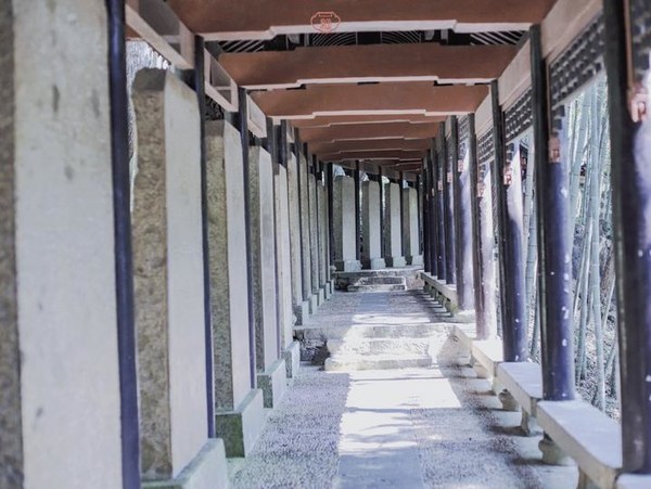 桐庐夜游富春山居景区,桐庐富春江夜游和白天游