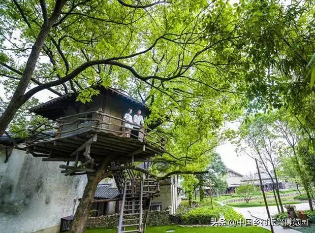 乡村振兴案例2021,乡村振兴案例2022