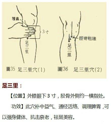 祛斑的最佳穴位示意图,按摩哪个穴位祛斑背部