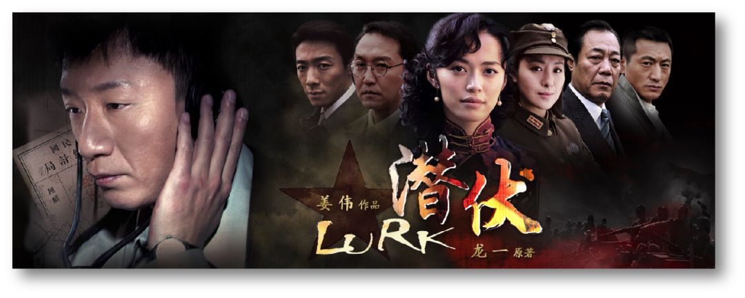 青雨传媒张静现状,东阳青雨传媒张静