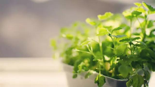 语文文学常识大全最全,语文文学常识总汇大全