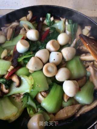 鹌鹑蛋被视为保健型蛋，它具体有什么保健功效呢？该怎样吃呢？