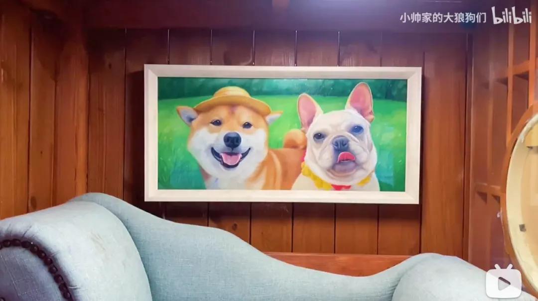 花三年建宠物乐园,花20万给狗打造乐园