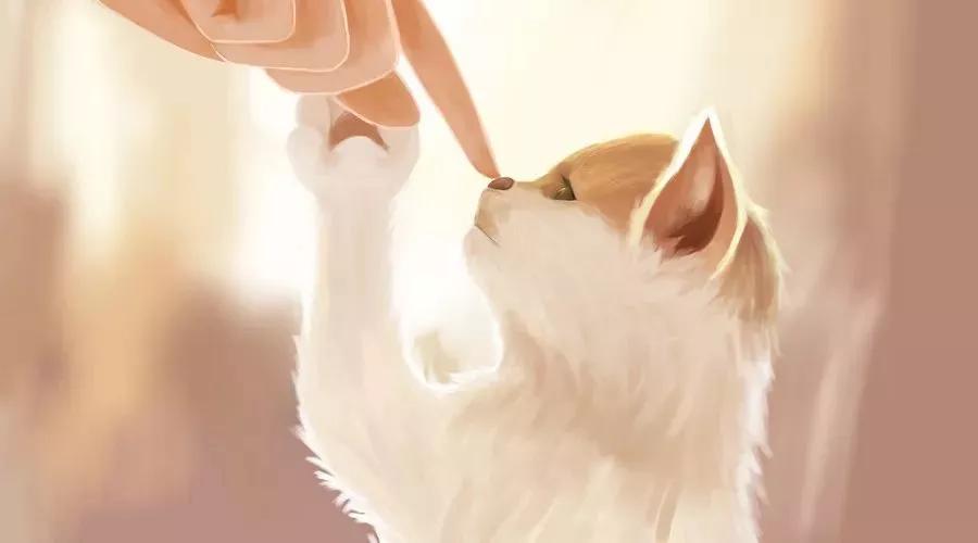 人宠共患病,弓形虫病是人畜共患病吗