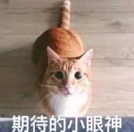 皮肤偏黑的男性适合穿什么颜色,皮肤黑的男子该怎么穿衣服