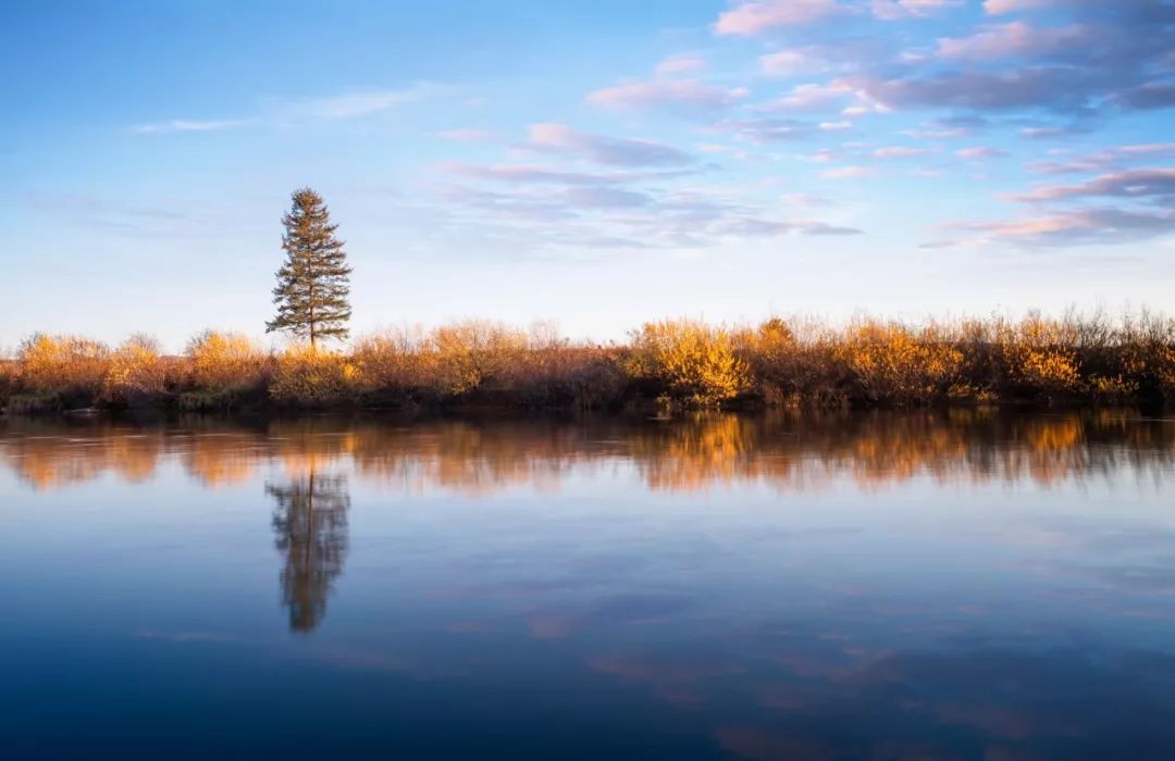 写秋诗四首大全,十首写秋杰出诗词钟爱哪一首