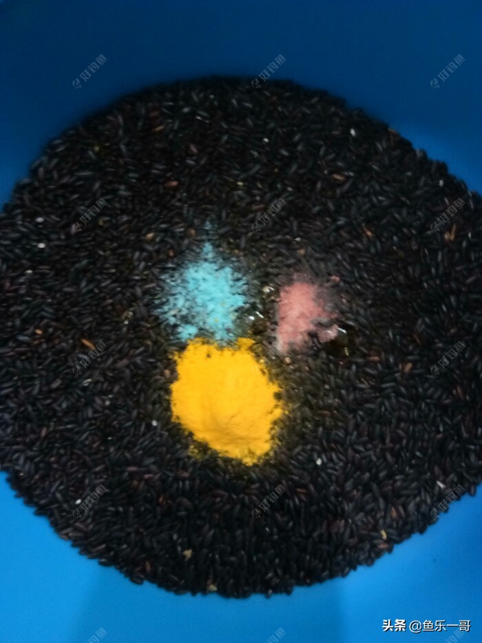 冬季黑米窝料野钓专用,钓鱼黑米打窝