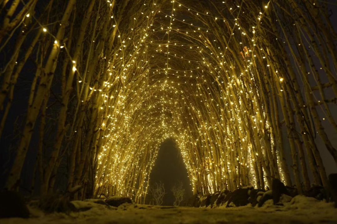 想在西岭雪山长期滑雪应该怎么样,西岭雪山滑雪全攻略