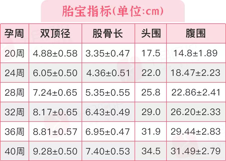 想知道宝宝长相,想知道胎宝宝的样子