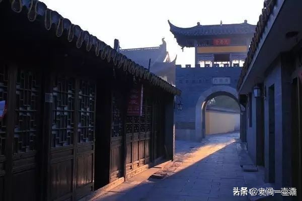 江苏邳州市银杏之乡,银杏之乡江苏泰兴