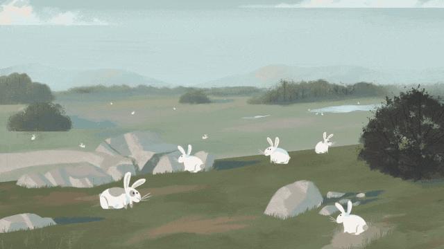 澳洲的兔子是怎么泛滥的,澳洲兔子怎么形成的