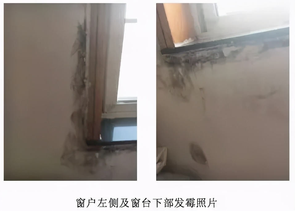 室内墙体霉斑怎么处理,窗户附近的墙发霉怎么处理