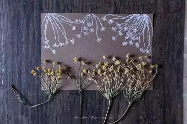 深山老林自建豪华木屋隐居生活,90后小情侣隐居深山建别墅仅花6万