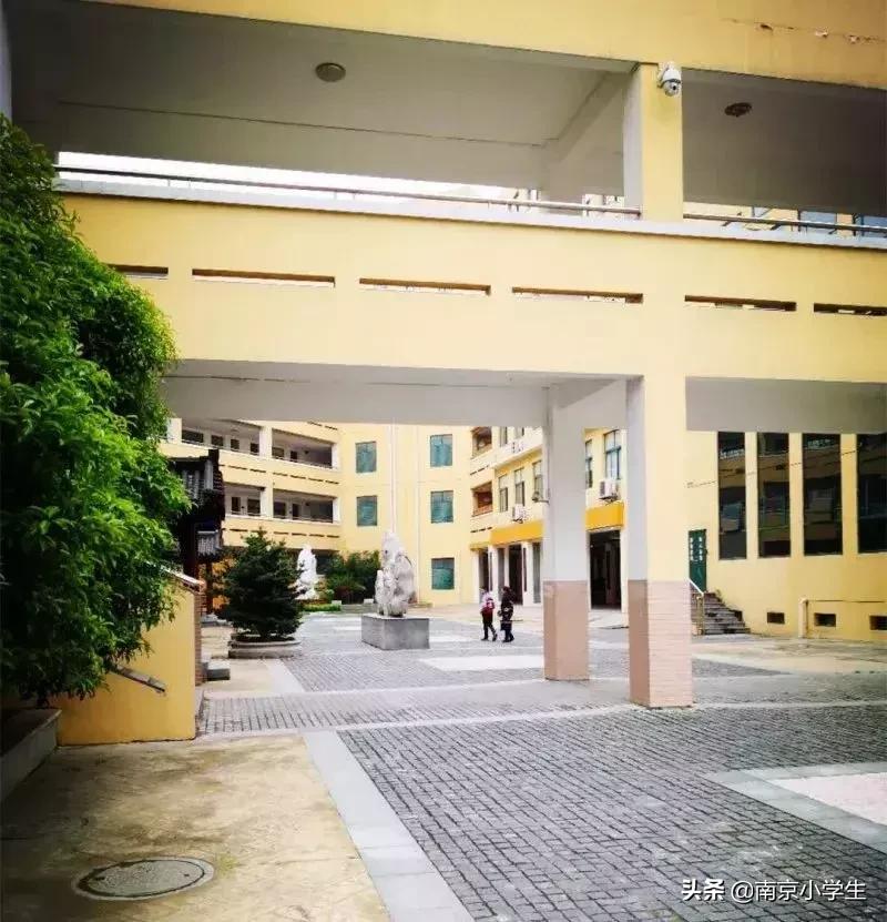 南京家长最爱的十大高中,最受南京家长喜爱的20所小学