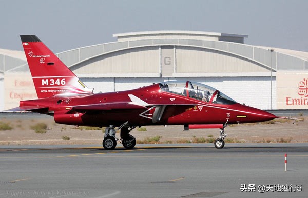 伦敦上空的猎鹰,空中的猎鹰